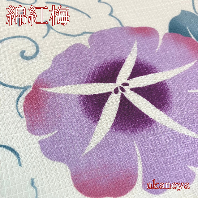 浴衣　反物　綿100％　綿紅梅　風の雅　朝顔　あさがお