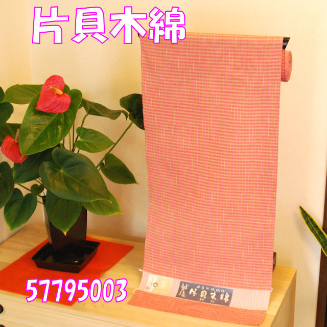 片貝木綿