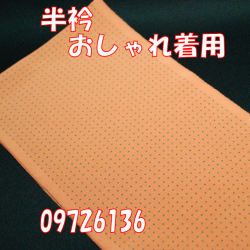 半衿 おしゃれ着用